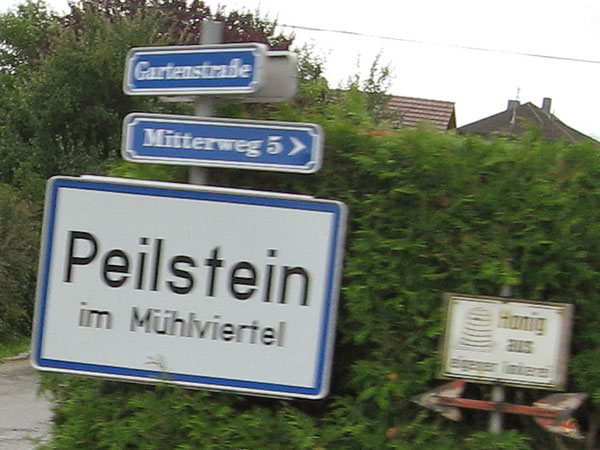 Birdje met Peilstein