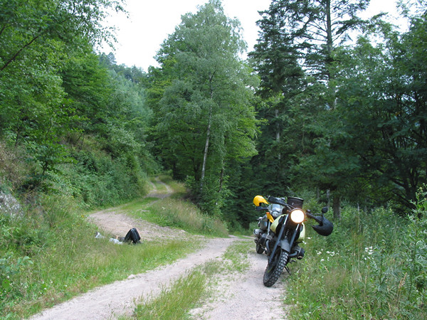 Twee motoren in het gras