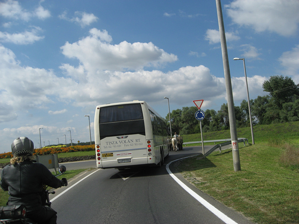 Bus en paard en wagen